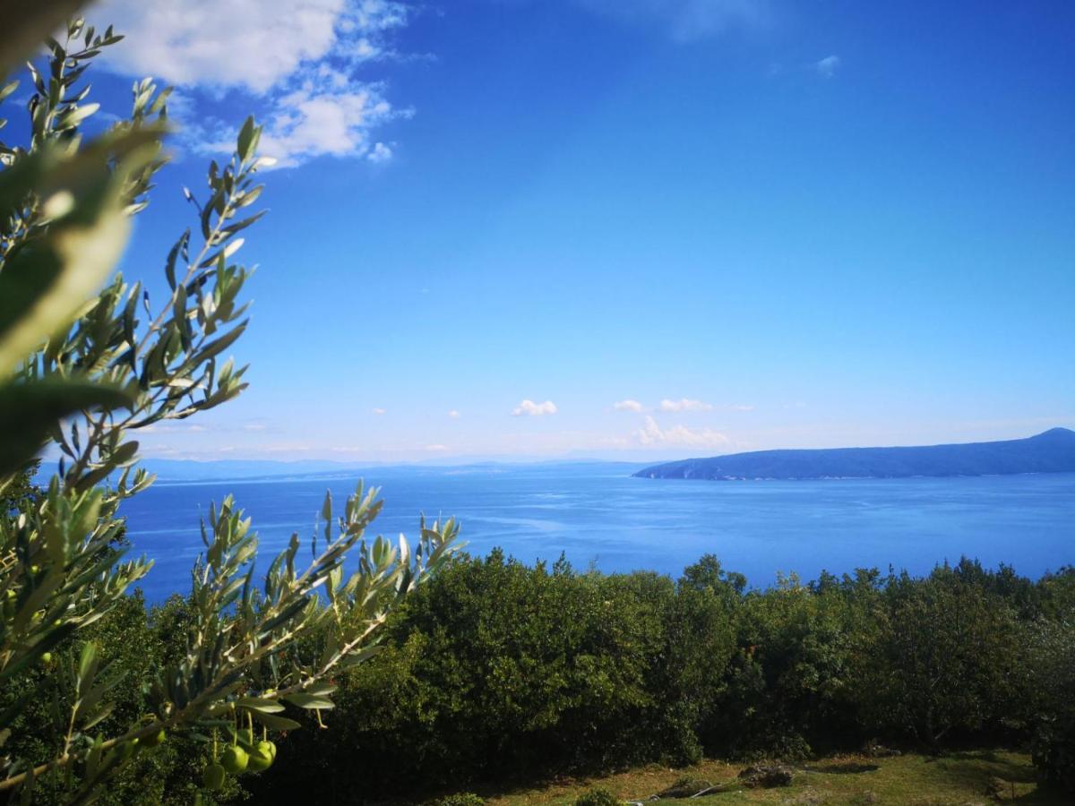 Marijeta Moscenicka Draga