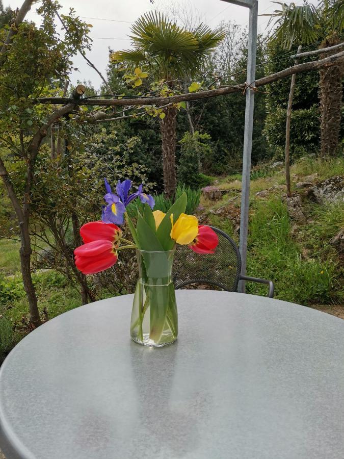 Marijeta Apartman *